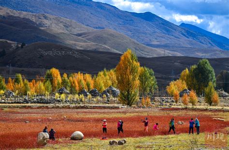 四川省甘孜藏族自治区稻城县亚丁景区洛绒牛场 - 中国国家地理最美观景拍摄点