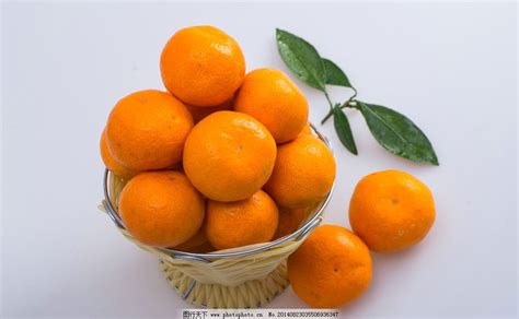 桔子和橘子的区别是什么-桔子、橘子、橙子的区别是什么啊？