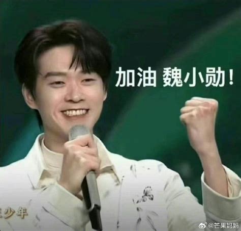 表情包魏大勋图片