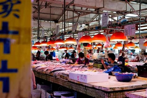 海鲜市场价,高级海鲜市场,海鲜菜市场(第8页)_大山谷图库