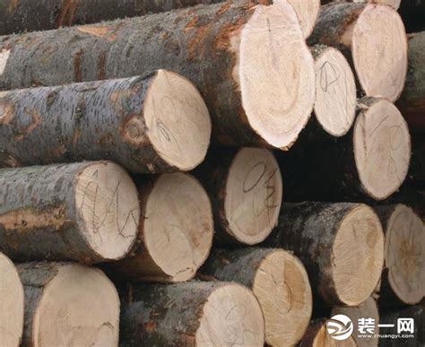 木材种类有哪些？如何区分？-中国木业网