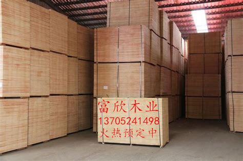 欣特板材,绿色新品打造板材生态圈-中国木业网