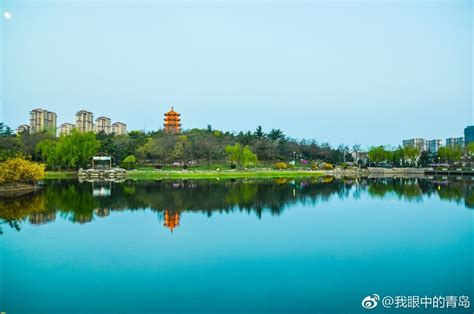 春天的李村公园：一步一景