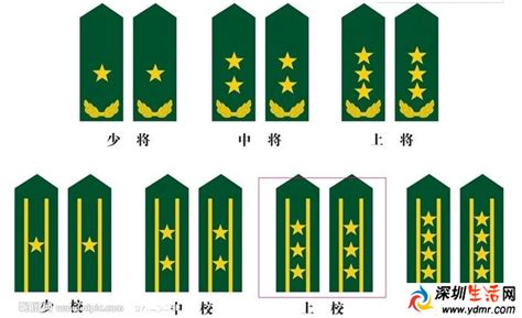 团长什么级别的军衔（王牌部队：排长、连长、团长分别管多少人，都是什么军衔？） | 说明书网