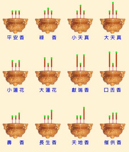 二十四香谱图解图片