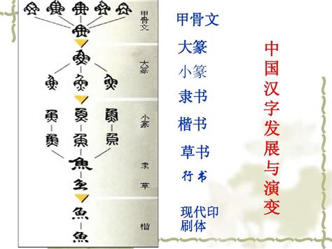 汉字的演变过程的顺序