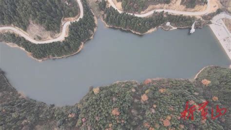 永州蓝山：打造“湘南绿色通道” 保护候鸟安全迁飞 - 县域要闻 - 新湖南