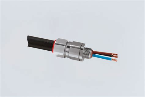 Cable gland with compound - 246363