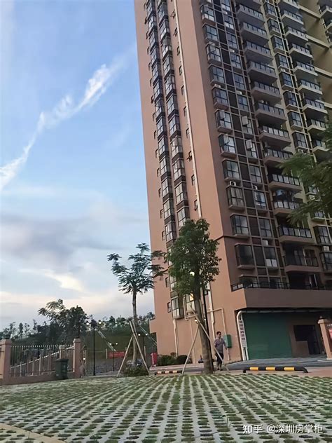 深圳大浪小产权房及大型村委统建楼2023年新楼盘在售价格「粤房吧」
