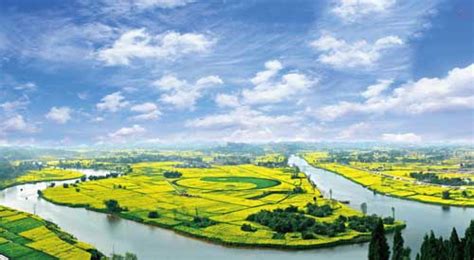 潼南桂林坝：重庆最大的蔬菜基地，堪称乡村振兴的重庆样板|桃花山|潼南|全总_新浪新闻