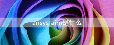 ansys aim是什么 - 业百科