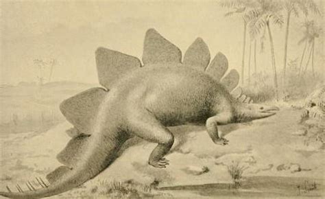 恐龙复原图和真实差别有多大？科学家是怎么知道恐龙真实样子的？