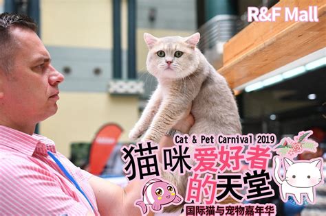 Blog 【喵～猫咪爱好者‼】【好消息】「国际猫与宠物嘉年华2019」 将于周末在R&F Mall盛大举行 | 富力广场