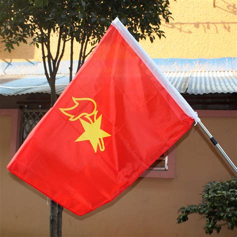 中国少年先锋队对旗是一面中间配有五角星加火炬图案的红旗-