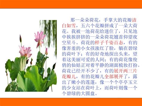 小学三年级植物作文素材7篇Word模板下载_编号qzxwknan_熊猫办公