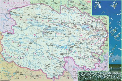 青海地图全图图片