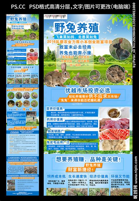 野兔养殖招商加盟页面设计图__广告设计_广告设计_设计图库_昵图网nipic.com