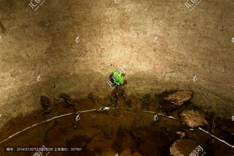 井底之蛙的故事 井底之蛙告诉我们什么道理_故事大全网