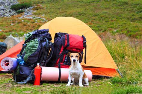 Cool Camping Gear You Never Knew Existed | Weirdomatic