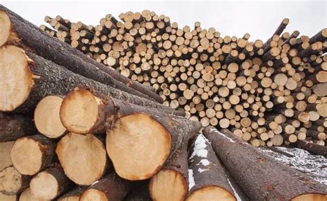 木材识别 – 如何通过6个简单的步骤识别木材类型_行业资讯_木头云