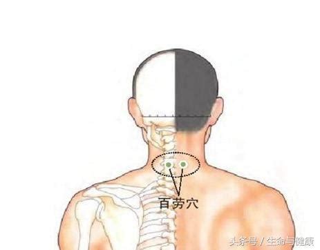 百劳的准确位置图图片 百劳的准确位置图图片