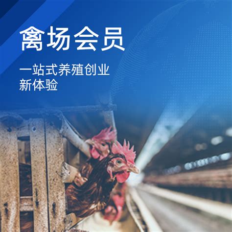 2022年中国生猪养殖行业政策环境、发展现状、行业壁垒、竞争格局及发展趋势分析[图]_智研咨询