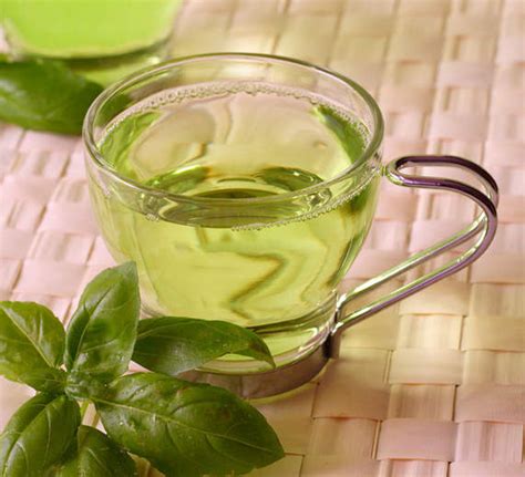 哪些茶叶能消脂减肥,什么茶叶能减肥刮油脂肪 - 茶叶百科