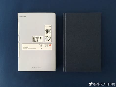 《一握砂：石川啄木诗选》：日本最伟大的短歌诗人石川啄木的代表作