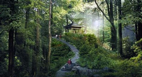 5大入口14条登山线路！陶朱山公园打造升级版森林公园|公园|入口|登山_新浪新闻