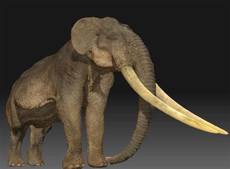 真实存在过的上古异兽，外表最奇特的五种大象_剑齿象