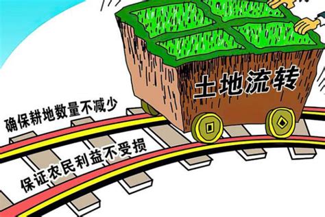 福建省2020年少数民族“中国农民丰收节”在罗源县举办_县域经济网