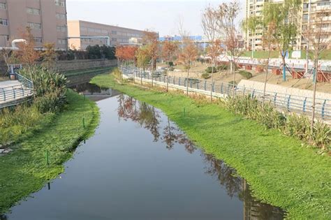 河道-水库-湖泊-水源地治理-水环境生态修复厂家-江苏双良环境科技有限公司