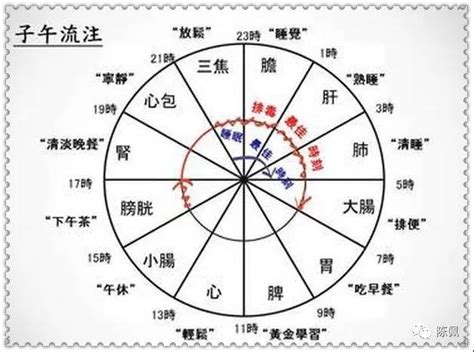 中医子午流注十二时辰养生法__凤凰网