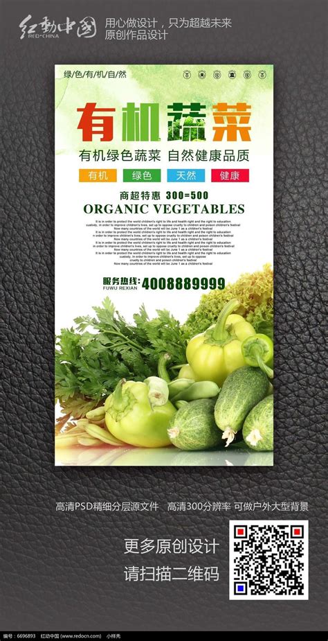 大气创意有机蔬菜超市海报设计图片下载_红动中国
