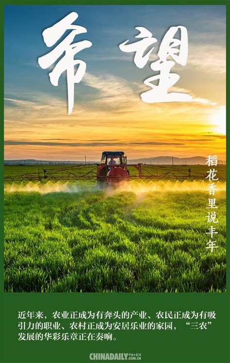 【海报】致敬农民：稻花香里说丰年 - 看点 - 华声在线