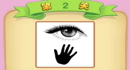 眼什么手什么成语 一只眼睛一只手打一成语是什么 答案眼高手低 | 说明书网