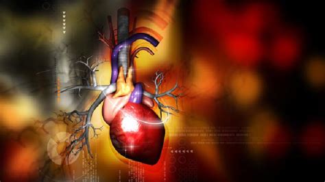 心肌缺血的原因 心肌缺血是什么原因造成的？ - 病症知识 - 轻壹