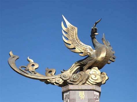 百鸟之王凤凰图片