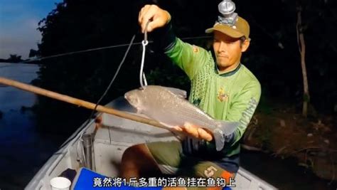 C视频|66万元！达州莲湖捕鱼节公益竞拍头鱼_四川在线