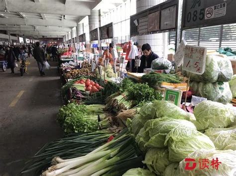 闸坡：本地蔬菜大量上市 菜价下降_澎湃号·媒体_澎湃新闻-The Paper