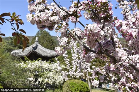 2023北京植物园樱桃沟游玩攻略,必须赞一下，整修之后的栈道...【去哪儿攻略】