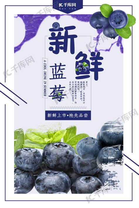 新鲜蓝莓水果上市小清新海报海报模板下载-千库网
