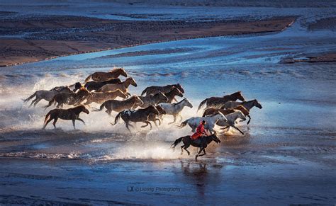 人们为什么爱去内蒙古自驾游？它到底有什么吸引人的地方？ - 知乎