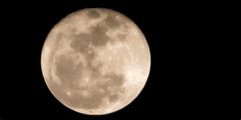 今晚月色很好是什么意思（今晚的月色真美的潜台词） – 碳资讯
