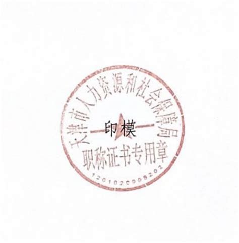 市人社局关于启用“天津市人力资源和社会保障局职称证书专用章”的通知_最新文件_政务公开