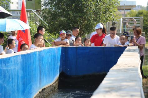 咸宁市生态环境局开展环保设施开放日活动-国际环保在线