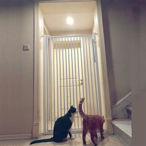 宠物猫门自由出入门可拆卸猫洞门猫咪进出门卧室空调房自动闭门器-阿里巴巴