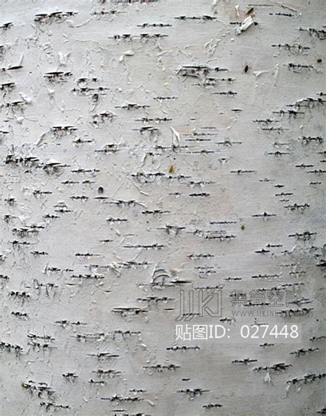 高清晰裂痕疙瘩树皮写真壁纸-欧莱凯设计网