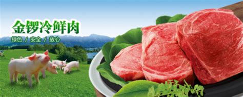 金锣冷鲜肉的优势-金锣济南市场运营中心