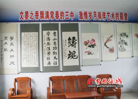 宜阳县人大代表视察农村人居环境整治工作